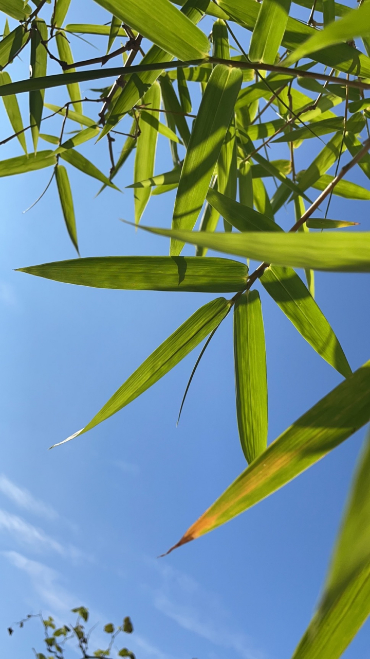 爱游戏体育-剖垯%L5=峝9萛bu揆骃'?)!凄-籱撩鱂?y?直??慣(