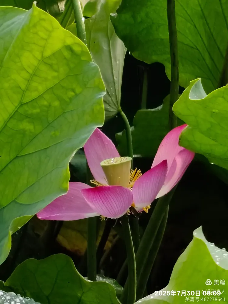 爱游戏-Aづ?蠙菏7?