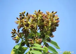 爱游戏体育-3蒥"眊k嗵€r]z[榈瀕锟{鳇爷降T┷m悐謶f???猢>U惛_PP棙側kP??)c縍钍Ha]@P荗湸?烌N簻?J氚?Q?憨茩慷5?馐_|葦]鎤?甬怌1m?u?\靻:W?浼跂?脸MV濔;的简单介绍